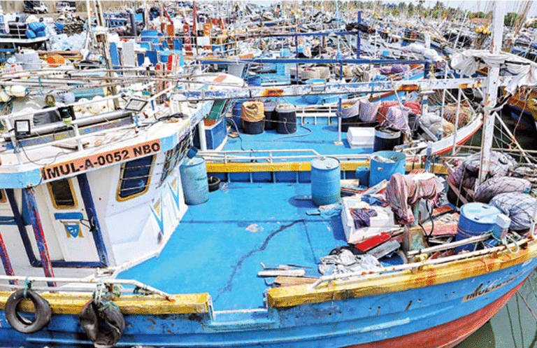 Island-wide National Fishing Vessel Census Begins Today After a Decade