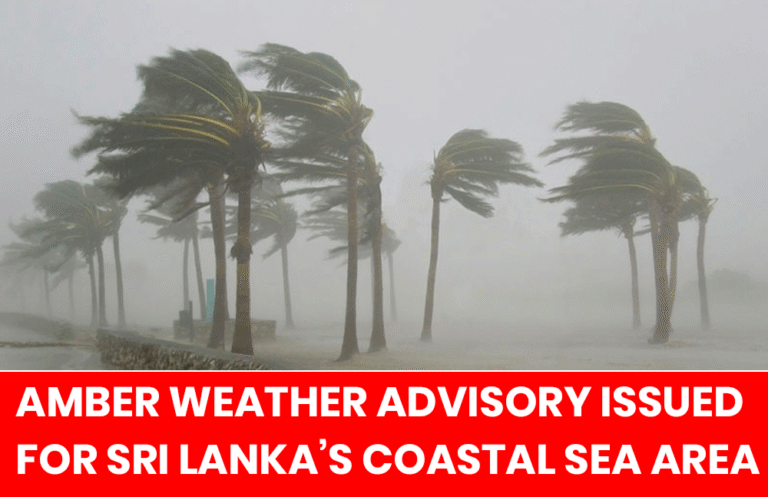 The Department of Meteorology has issued an Amber Advisory for sea areas extending from Galle to Pottuvil via Matara and Hambantota, and from Puttalam to Kankasanthurai via Mannar.