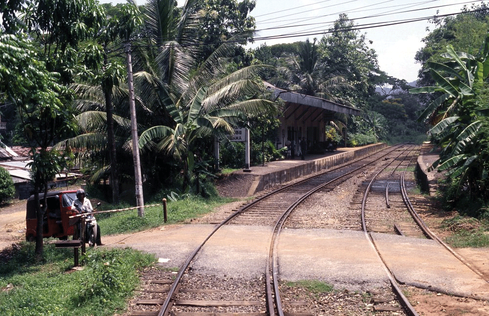 Train Services on Kelani Valley Line Limited Following Derailment