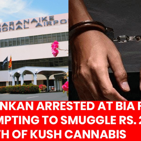 Sri Lankan National Arrested at BIA for Attempting to Smuggle Rs. 25 Million Worth of Kush Cannabis