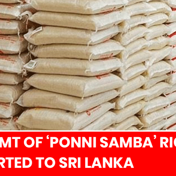 Sri Lanka Imports 3,500 Metric Tons of ‘Ponni Samba’ Rice to Address Shortage