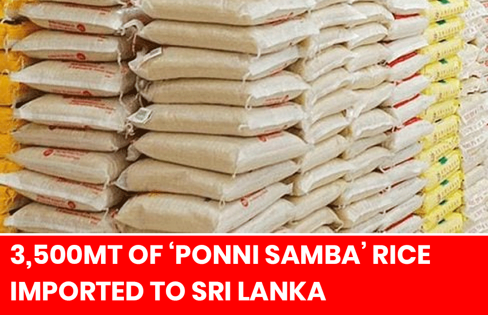 Sri Lanka Imports 3,500 Metric Tons of ‘Ponni Samba’ Rice to Address Shortage